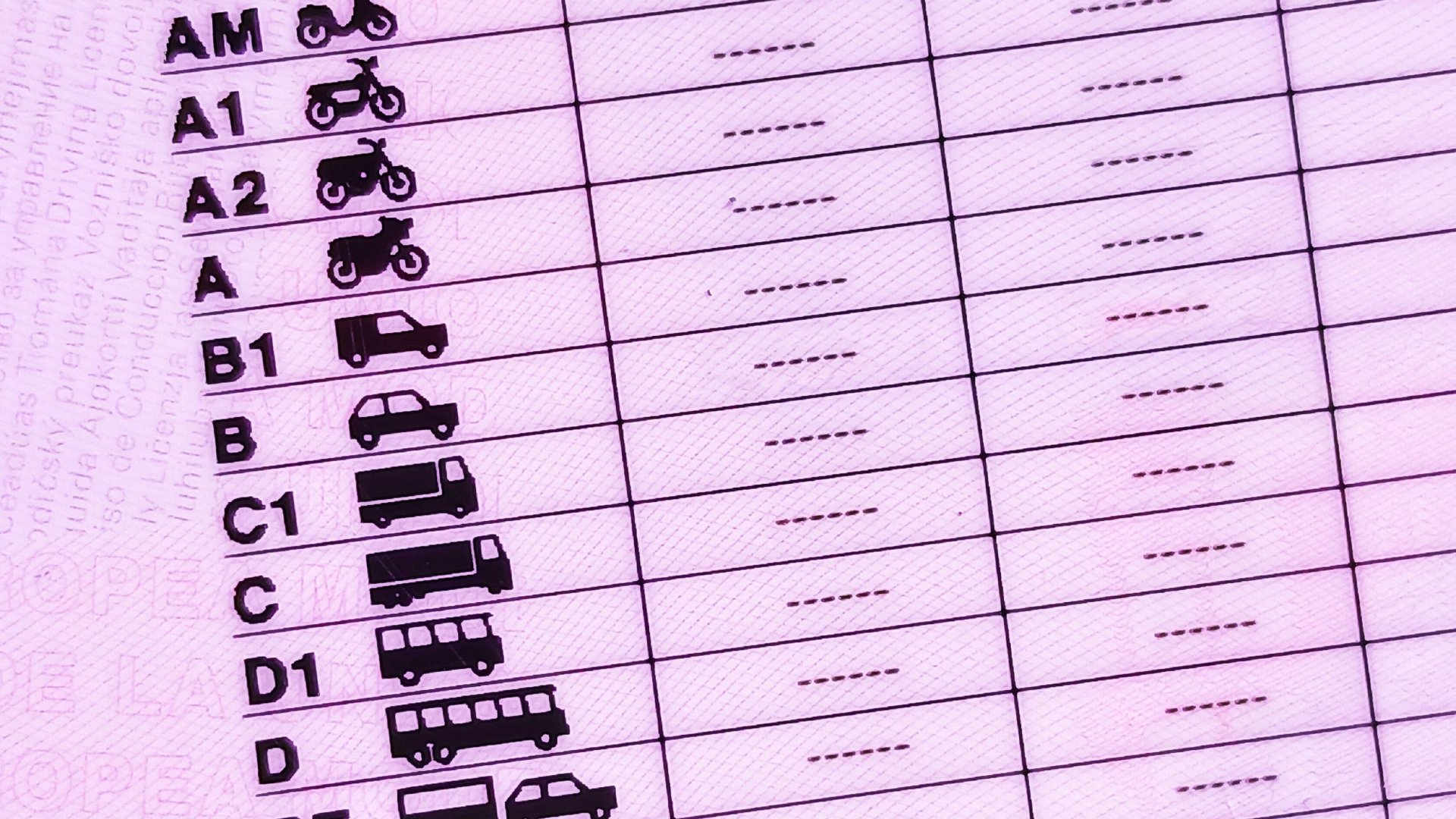 Permiso de conducción